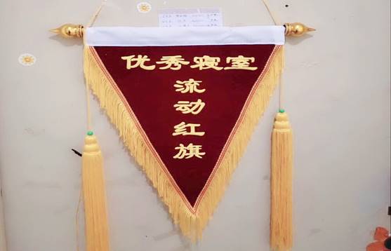 芳华苑团总支宣传部:宋恬
