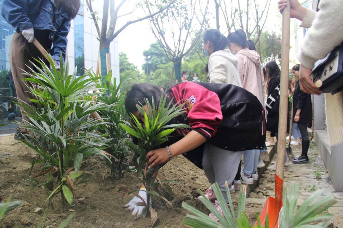 春暖花开日 植树正当时——西南财经大学天府学院开展植树活动